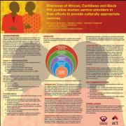 Dilemmas of African, Caribbean and Black HIV-positive women service providers in their efforts to provide culturally appropriate services